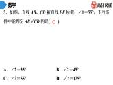 北师大版九年级核心知识循环链  (上)第2周核心知识循环练 课件