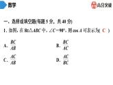 北师大版九年级核心知识循环链  (下)第1周核心知识循环练 课件