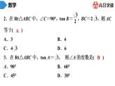 北师大版九年级核心知识循环链  (下)第1周核心知识循环练 课件