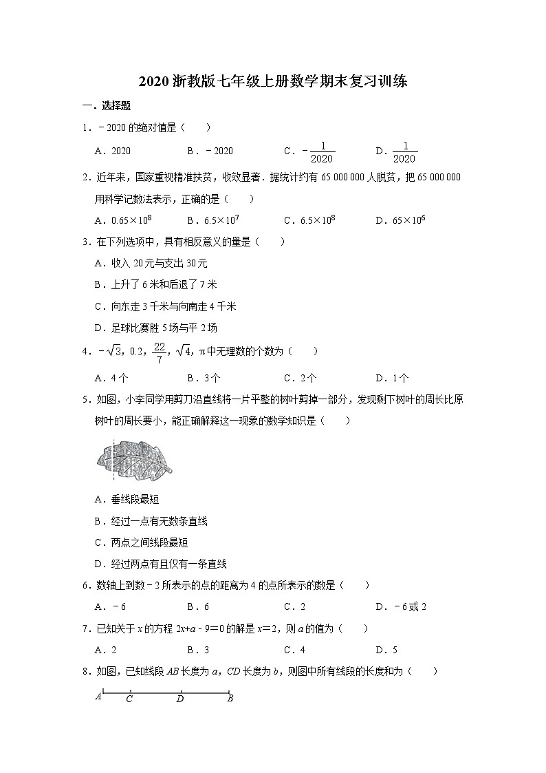2020浙教版七年级上册数学期末复习训练    含答案01