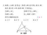 华东师大版八年级数学上  专题训练  十一  等边三角形性质和判定的小综合 课件