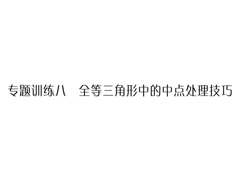 华东师大版八年级数学上  专题训练  八  全等三角形中的中点处理技巧 课件01