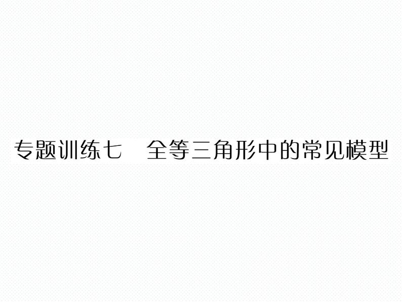 华东师大版八年级数学上  专题训练  七  全等三角形中的常见模型 课件01