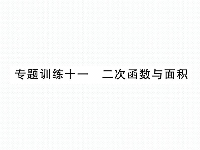 人教版九年级上册 第22章  专题训练十一 二次函数与面积 课件01