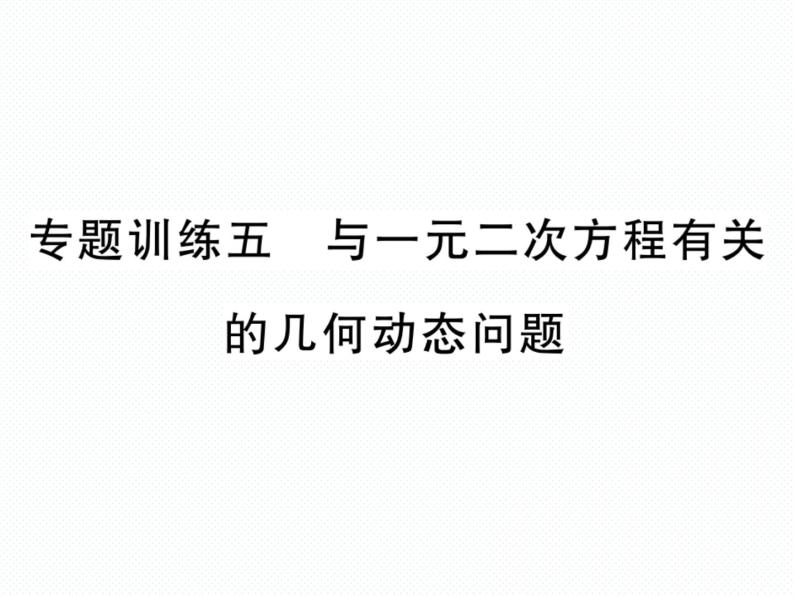 人教版九年就上册 第21章专题训练五 与一元二次方程有关的几何动态问题 课件01