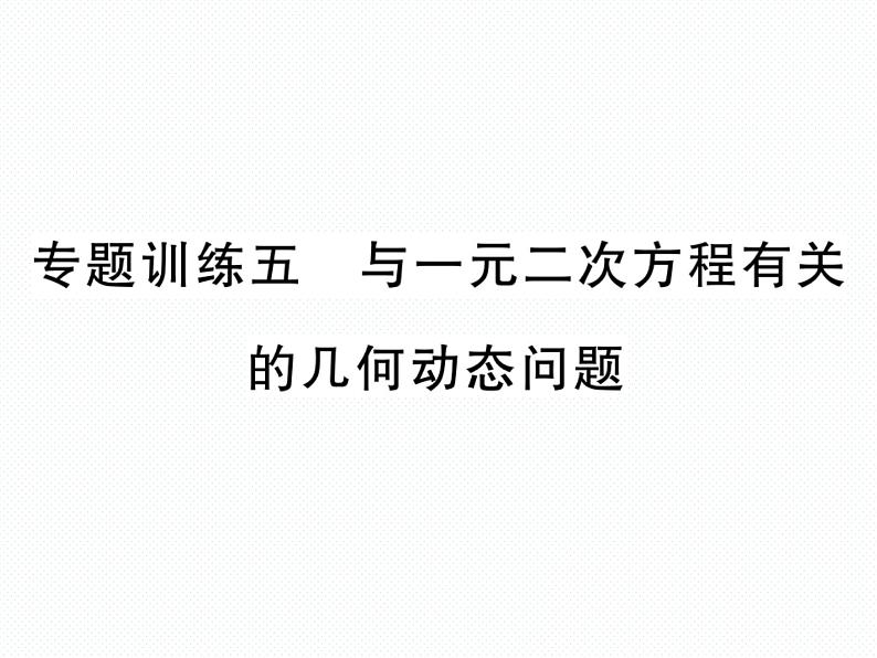 人教版九年就上册 第21章专题训练五 与一元二次方程有关的几何动态问题 课件01