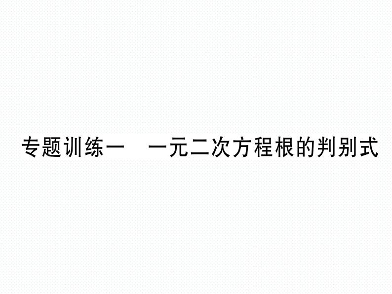 人教版九年就上册 第21章专题训练一 一元二次方程根的判别式 课件01