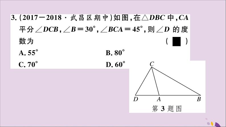 八年级数学上册11-2与三角形有关的角11-2-1第1课时三角形的内角和习题讲评课件（新版）新人教版03