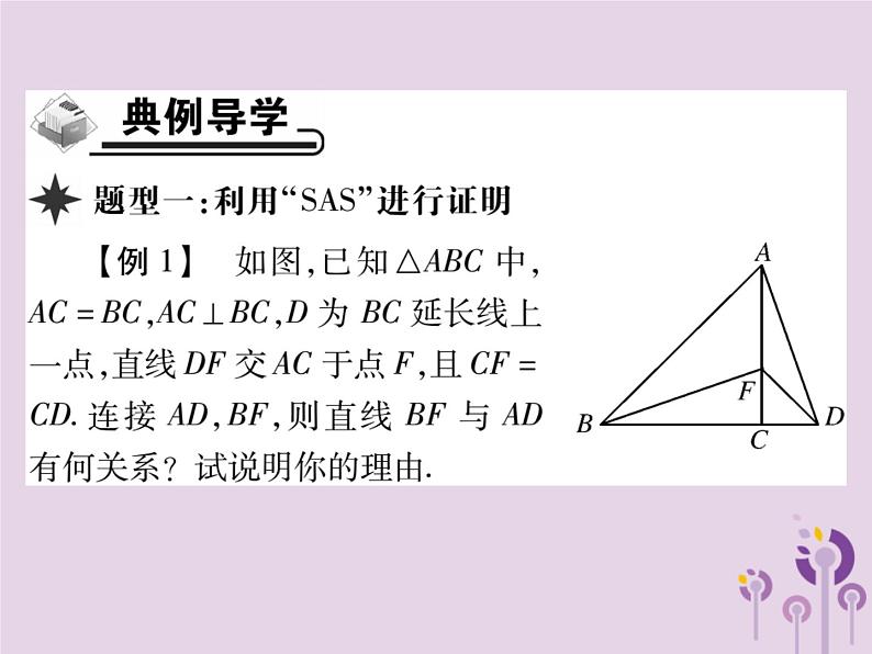 八年级数学上册12《全等三角形》12-2三角形全等的判定第2课时三角形全等的判定（二）（SAS）习题课件03