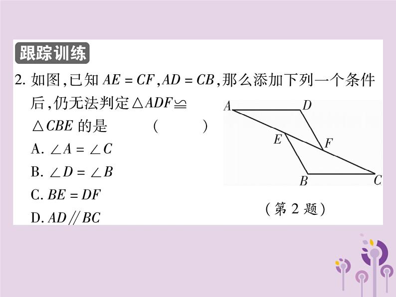 八年级数学上册12《全等三角形》12-2三角形全等的判定第2课时三角形全等的判定（二）（SAS）习题课件08