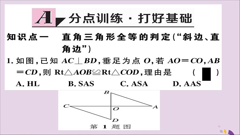 八年级数学上册12-2三角形全等的判定第4课时“斜边、直角边”习题讲评课件（新版）新人教版02