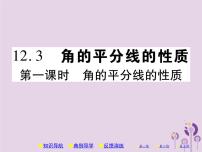 初中数学人教版八年级上册12.3 角的平分线的性质一等奖习题ppt课件