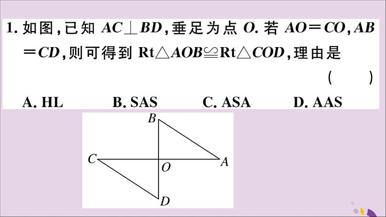 八年级数学上册12-2三角形全等的判定第4课时“斜边、直角边”习题课件（新版）新人教版02