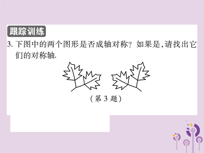 八年级数学上册13《轴对称》13-1轴对称13-1-1轴对称习题课件08