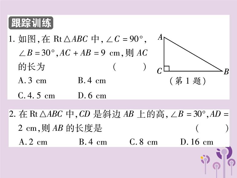 八年级数学上册13《轴对称》13-3等腰三角形13-3-2等边三角形第2课时“30°角所对直角边等于斜边的一半”的运用习题课件06