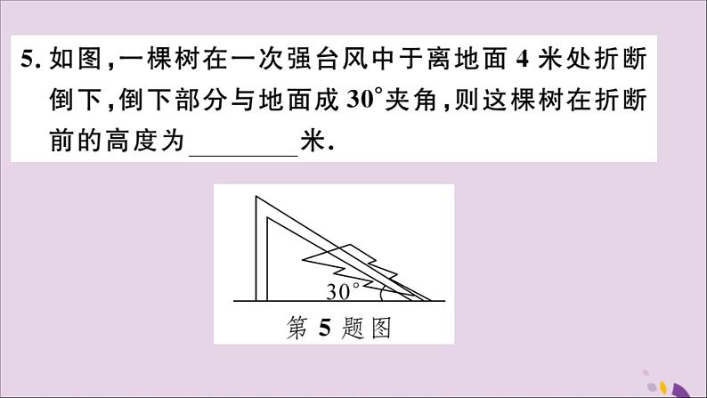 八年级数学上册13-3等腰三角形13-3-2第2课时含30°角的直角三角形的性质习题讲评课件（新版）新人教版06