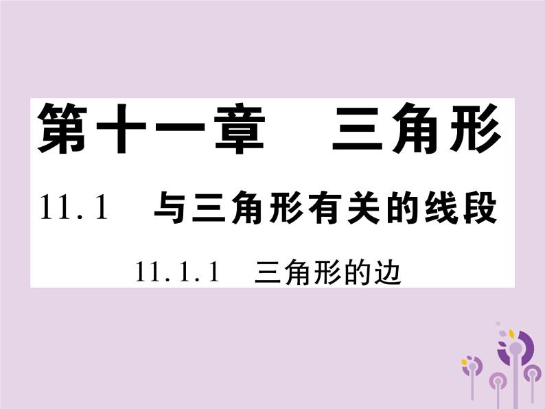 八年级数学上册11《三角形》11-1与三角形有关的线段11-1-1三角形的边习题课件01