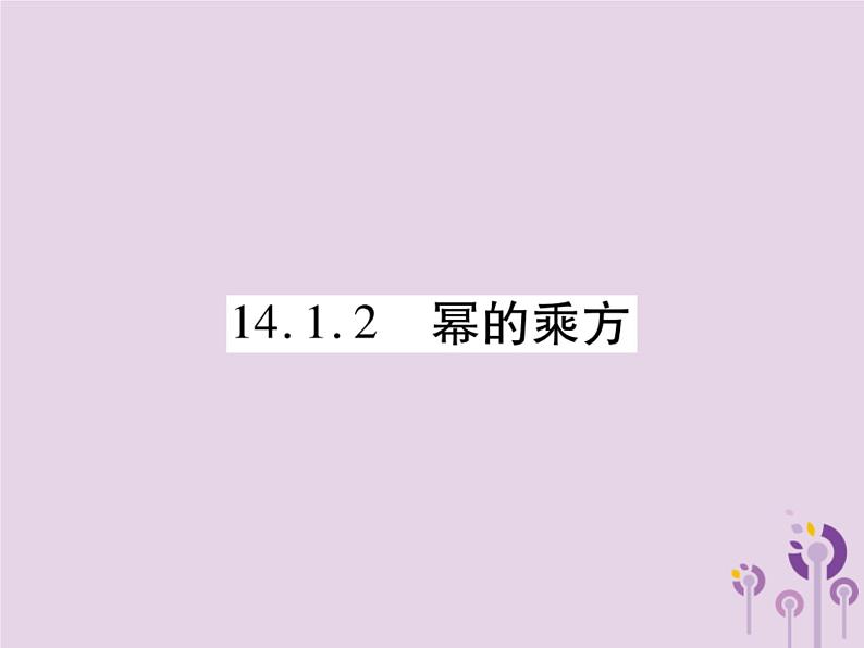 八年级数学上册14《整式的乘法与因式分解》14-1整式的乘法14-1-2幂的乘方习题课件01