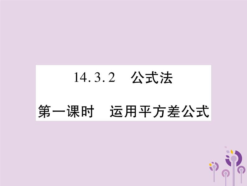 八年级数学上册14《整式的乘法与因式分解》14-3因式分解14-3-2公式法第1课时运用平方差公式习题课件01