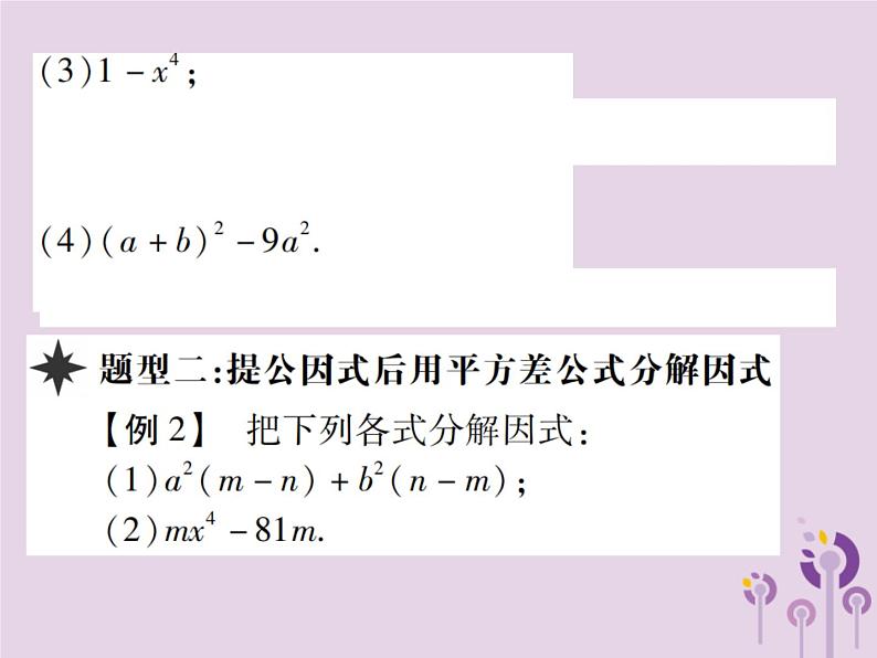 八年级数学上册14《整式的乘法与因式分解》14-3因式分解14-3-2公式法第1课时运用平方差公式习题课件06