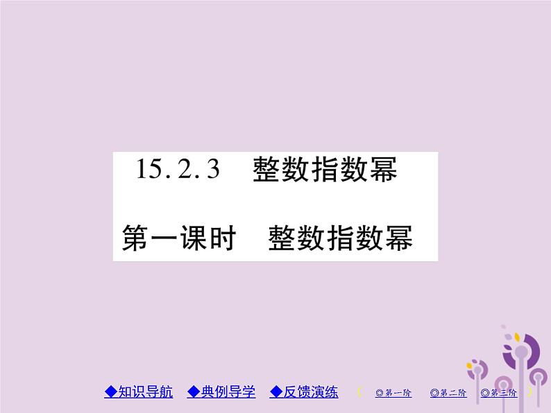 八年级数学上册15《分式》15-2分式的运算15-2-3整数指数幂第1课时整数指数幂习题课件01