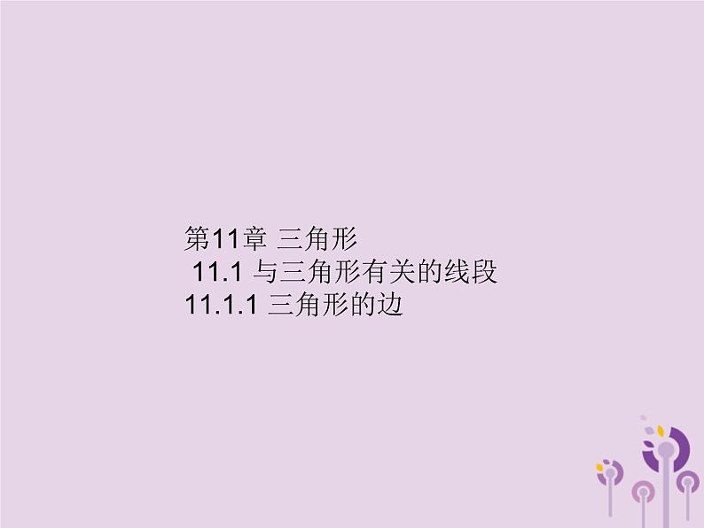 八年级数学上册第11章三角形11-1与三角形有关的线段11-1-1三角形的边（练习手册）课件01