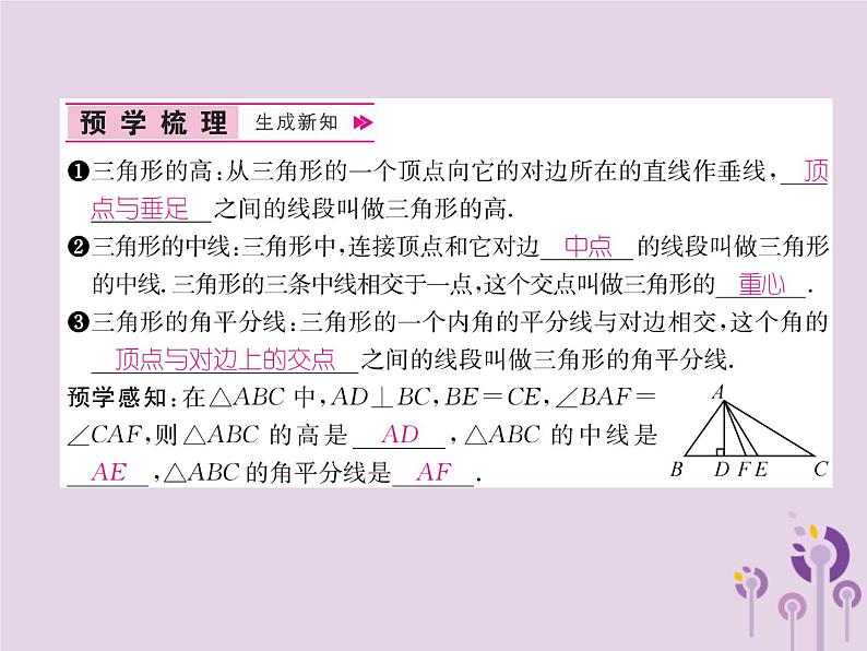 八年级数学上册第11章三角形11-1与三角形有关的线段11-1-2三角形的高、中线与角平分线作业课件02