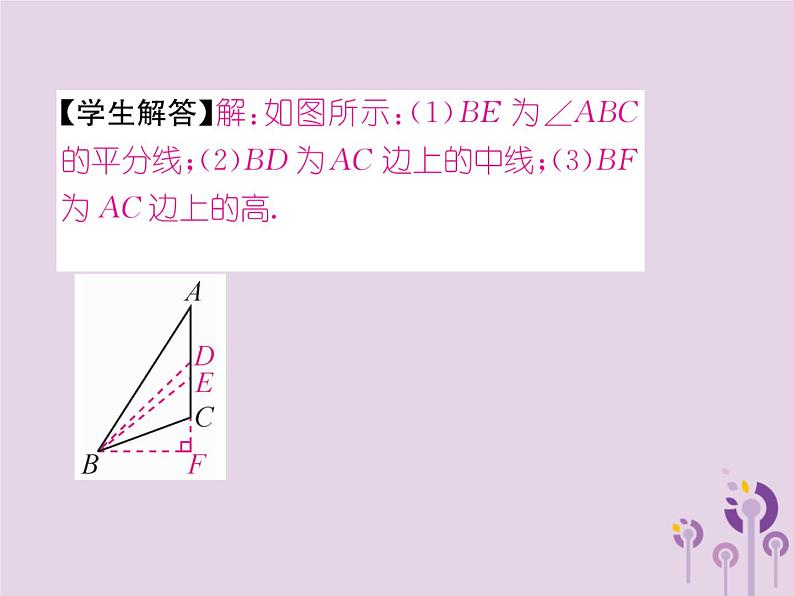 八年级数学上册第11章三角形11-1与三角形有关的线段11-1-2三角形的高、中线与角平分线作业课件05