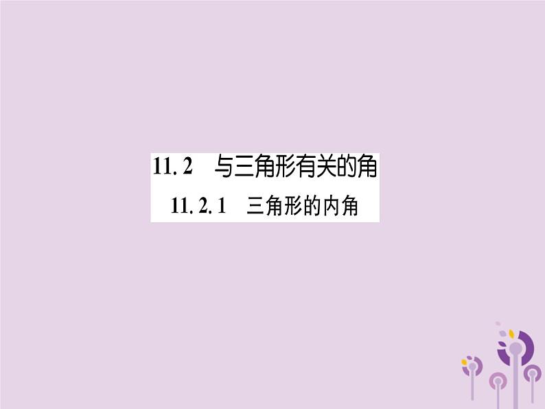 八年级数学上册第11章三角形11-2与三角形有关的角11-2-1三角形的内角（练习手册）课件01