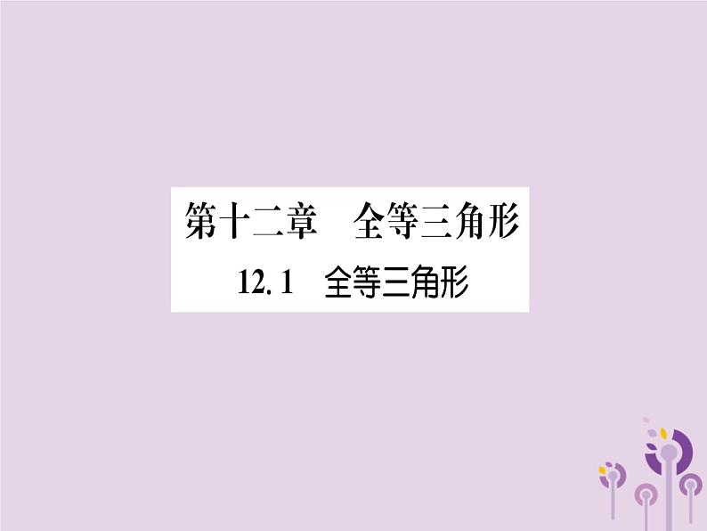 八年级数学上册第12章全等三角形12-1全等三角形（练习手册）课件01