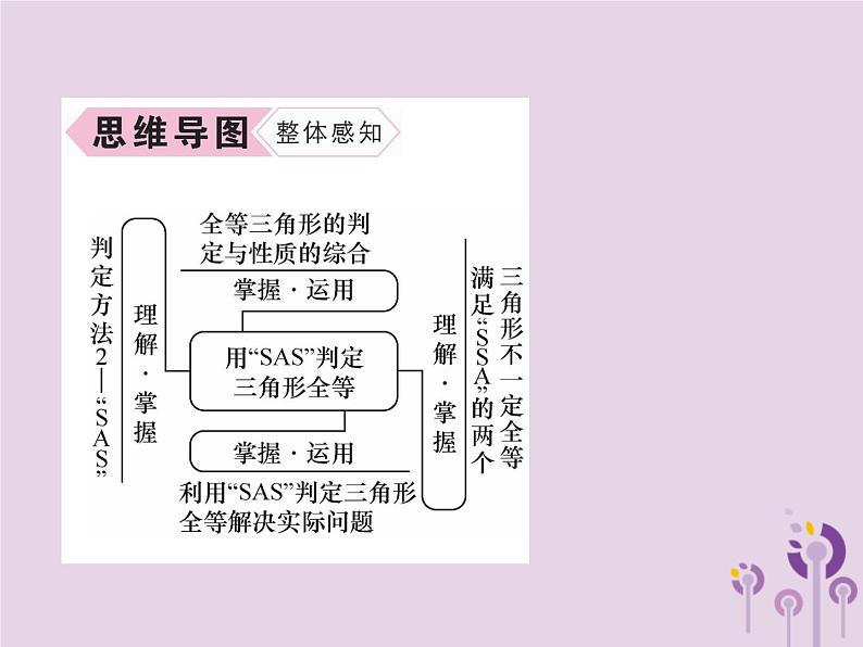 八年级数学上册第12章全等三角形12-2三角形全等的判定第2课时用“SAS”判定三角形全等作业课件03