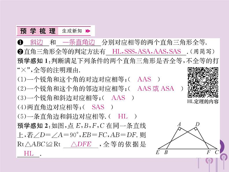 八年级数学上册第12章全等三角形12-2三角形全等的判定第4课时用“HL”判定直角三角形全等作业课件第2页