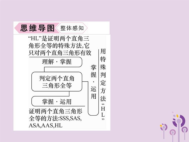 八年级数学上册第12章全等三角形12-2三角形全等的判定第4课时用“HL”判定直角三角形全等作业课件第3页