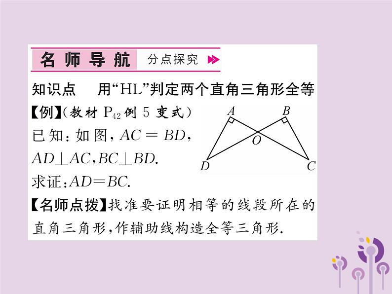 八年级数学上册第12章全等三角形12-2三角形全等的判定第4课时用“HL”判定直角三角形全等作业课件第4页