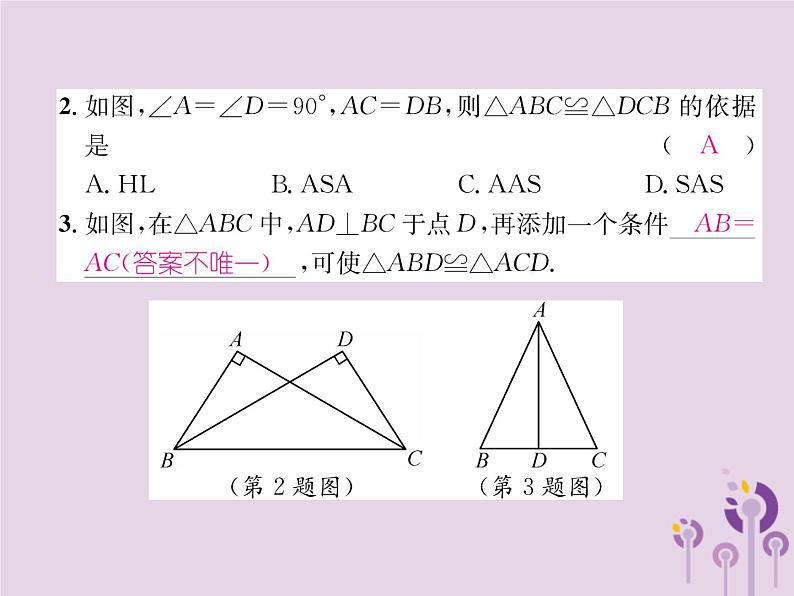 八年级数学上册第12章全等三角形12-2三角形全等的判定第4课时用“HL”判定直角三角形全等作业课件第8页