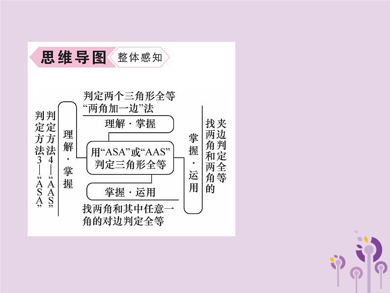 八年级数学上册第12章全等三角形12-2三角形全等的判定第3课时用“ASA”或“AAS”判定三角形全等作业课件03