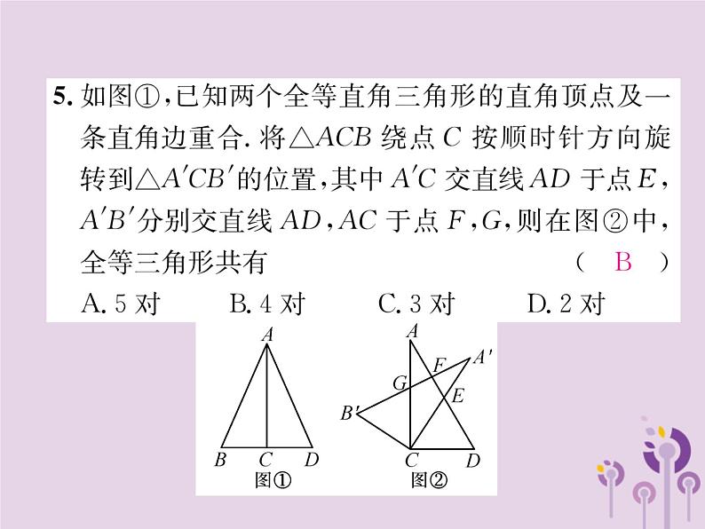 八年级数学上册第12章全等三角形双休作业（二）作业课件05