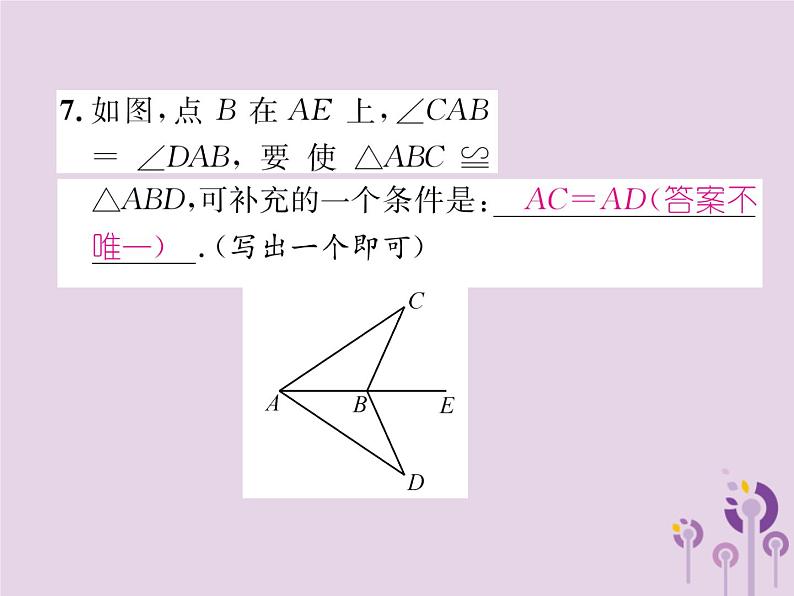 八年级数学上册第12章全等三角形双休作业（二）作业课件07