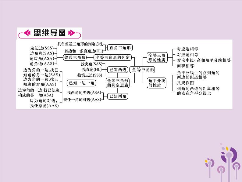 八年级数学上册第12章全等三角形整合与提升作业课件02