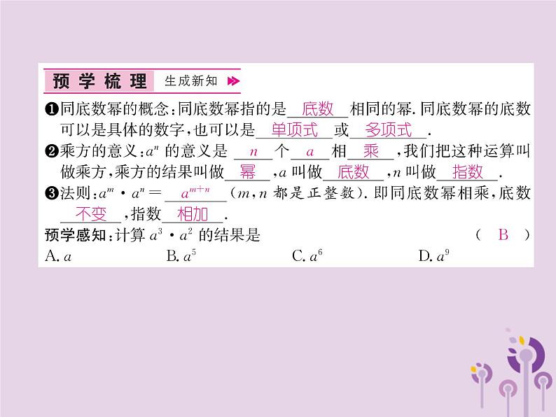 八年级数学上册第14章整式的乘法与因式分解14-1整式的乘法14-1-1同底数幂的乘法作业课件第2页