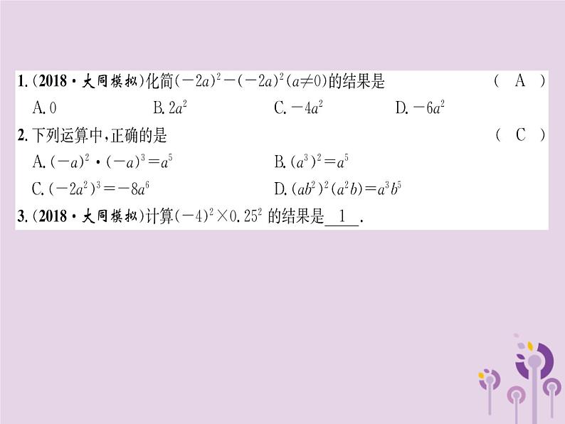 八年级数学上册第14章整式的乘法与因式分解14-1整式的乘法14-1-3积的乘方（练习手册）课件02