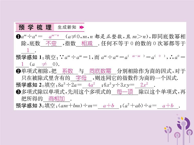 八年级数学上册第14章整式的乘法与因式分解14-1整式的乘法14-1-4整式的乘法第4课时整式的除法作业课件第2页