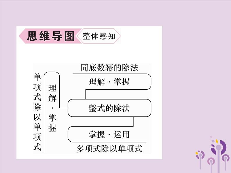 八年级数学上册第14章整式的乘法与因式分解14-1整式的乘法14-1-4整式的乘法第4课时整式的除法作业课件第3页