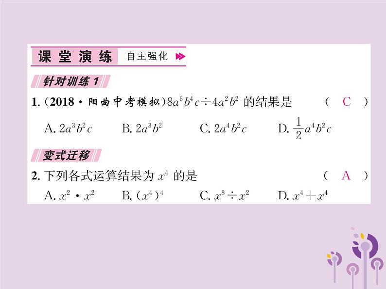 八年级数学上册第14章整式的乘法与因式分解14-1整式的乘法14-1-4整式的乘法第4课时整式的除法作业课件第8页