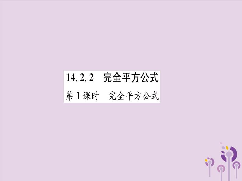 八年级数学上册第14章整式的乘法与因式分解14-2乘法公式14-2-2完全平方公式第1课时完全平方公式（练习手册）课件01