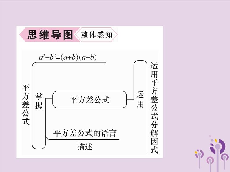 八年级数学上册第14章整式的乘法与因式分解14-3因式分解14-3-2公式法第1课时运用平方差公式分解因式作业课件03