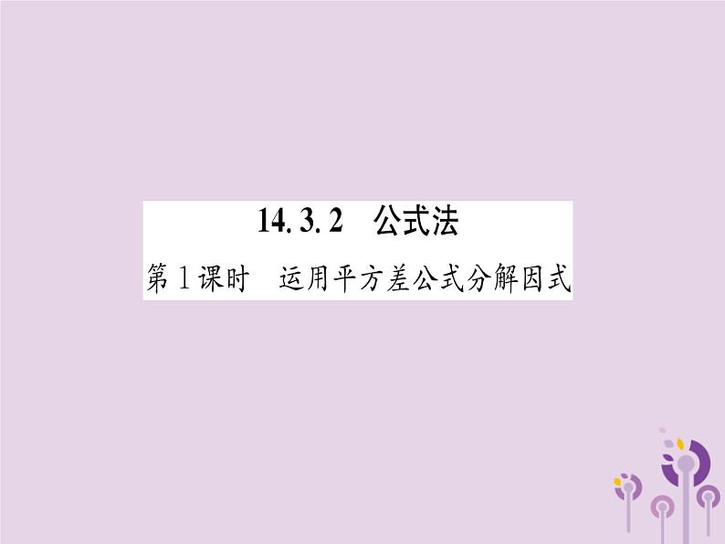 八年级数学上册第14章整式的乘法与因式分解14-3因式分解14-3-2公式法第1课时运用平方差公式分解因式（练习手册）课件01