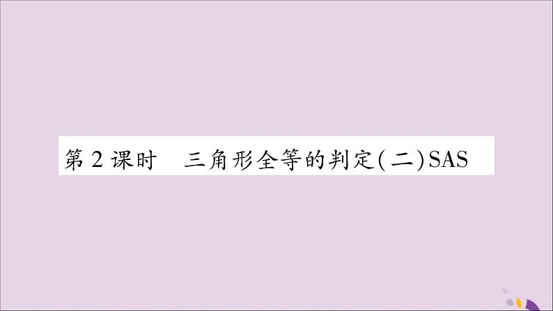 八年级数学上册第十二章全等三角形12-2三角形全等的判定第2课时三角形全等的判定（二）SAS习题课件01