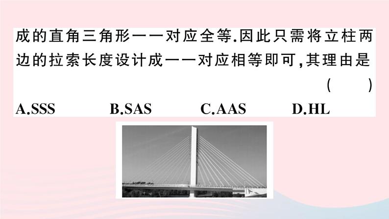 八年级数学上册第十二章全等三角形12-2三角形全等的判定第4课时斜边、直角边课件03