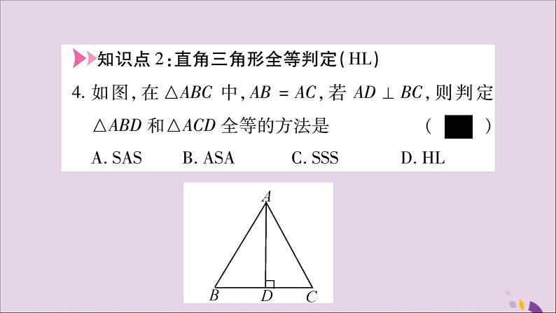 八年级数学上册第十二章全等三角形12-2三角形全等的判定第4课时直角三角形全等的判定（HL）习题课件04